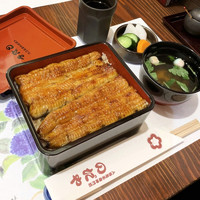 入谷鬼子母神門前のだや - あさがお（5,300円 +税）肝吸い・香の物付