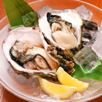 Raw Oyster