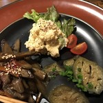 豊後炊き肉とお晩菜いっしょう - 