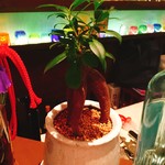 てぃださんさん - 