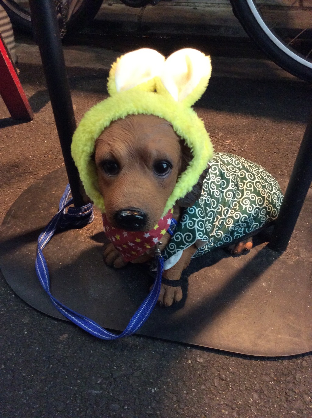 旬菜ダイニング eーとこ屋