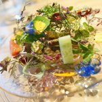 アグリスケープ - サラダ