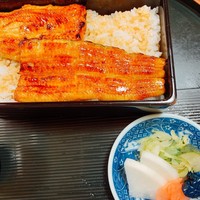 うなぎ秋本 -  うなぎ秋本 -