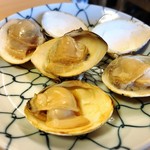 マイアミ貝新 - 