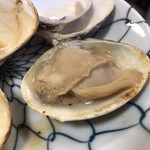 マイアミ貝新 - 