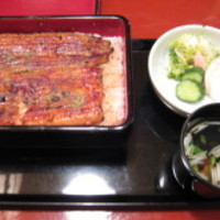 うなぎ割烹 大江戸 - うな重