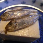 菜酒家FU-KU - スクガラスのアップ