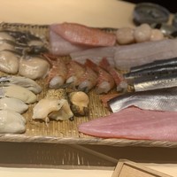 霜止出苗 - 