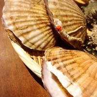 活帆立