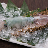泳ぎイカ姿造り