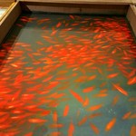 中華 正園 - 撮影可の作品