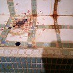 中華 正園 - これも作品だけど気づかれにくい(笑)