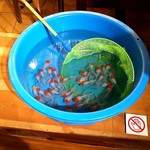 中華 正園 - 綺麗