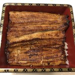 鰻はし本 - 鰻重