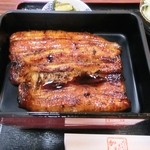 うなぎ加藤 - うな重並