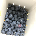 岩手林業ブルーベリー園 - 持ち帰り用の箱です。冷蔵庫で冷やしても美味しいんだなー