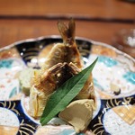 傳 - 鮎の一夜干し　鮎のパテ