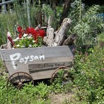 Paysan - 