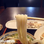 手打ちうどん　 いしづか - 2012年1月　うどん　アップ