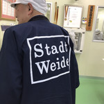 Stadt Weide - 