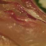 酒菜坊 橋蔵 - ほっけ刺　ズームアップ