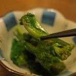 酒菜坊 橋蔵 - おとおし喰らう