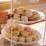 ファリナモーレ - 『ファリナモーレ』マカロン