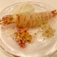 サーラ アマービレ - 