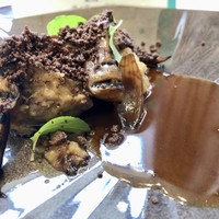 クイントカント - 