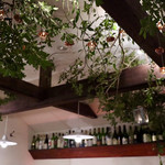 Magokura - 夜の森のパーティをイメージ