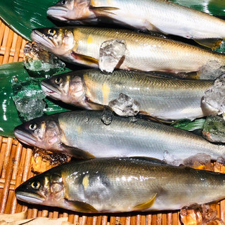 Azabu Shuu - ７月の旬な食材、天然鮎。すすめは塩焼きです。
