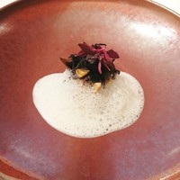 リストランテ・ホンダ - 帆立