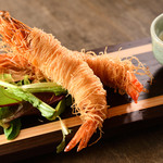 ienomi スタンド日和