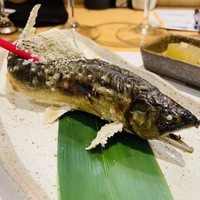 柳家錦 - 