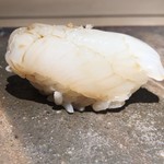 菊鮨 - アオリイカ〜もちもちとした甘味ある食感。