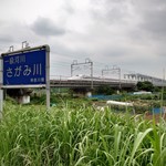 ラーメン パワースポット - 河川敷。こんな場所にも猫います