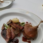 タテル ヨシノ ビズ  - 仔鴨