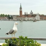 Terrazza danieli - 