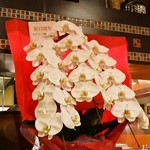 リストランテ ミヤモト - 13周年おめでとうございます。