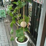 深大寺門前そば - 