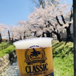 五稜郭タワー 売店 - 五稜郭公園の桜とクラシックビール。