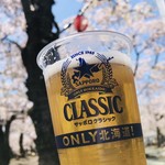 五稜郭タワー 売店 - 満開の桜の下でいただくクラシックビールは最高です！