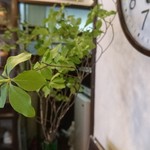 いなだ珈琲舎 - 