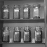 いなだ珈琲舎 - 