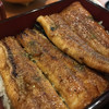 炭焼きうなぎの魚伊 天五店