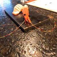 KINKA sushi bar izakaya 渋谷 - 