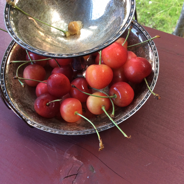 佐藤青果 - 釧路（その他）の写真