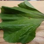 肉料理ふくなが - 陸海苔(おかのり)