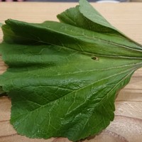 肉料理ふくなが - 陸海苔(おかのり)