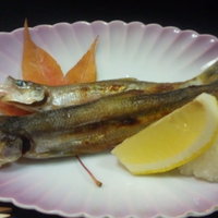 寿し心 なかむら - ししゃも（オス）焼き